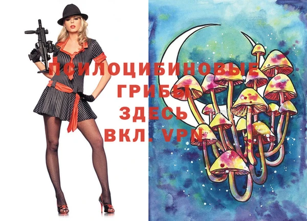 первитин Бородино