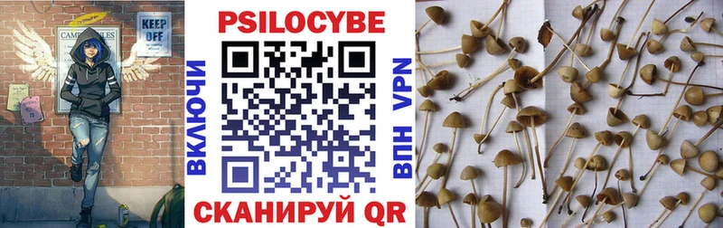 Псилоцибиновые грибы Magic Shrooms  Кизел 